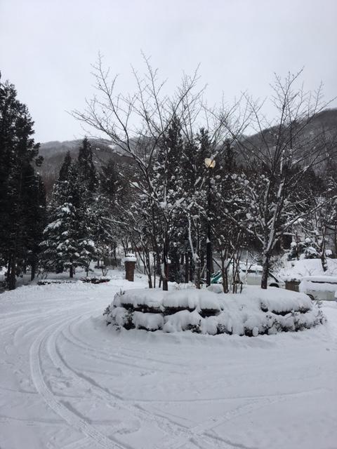 Wadano Forest Hotel & Apartments Hakuba Esterno foto